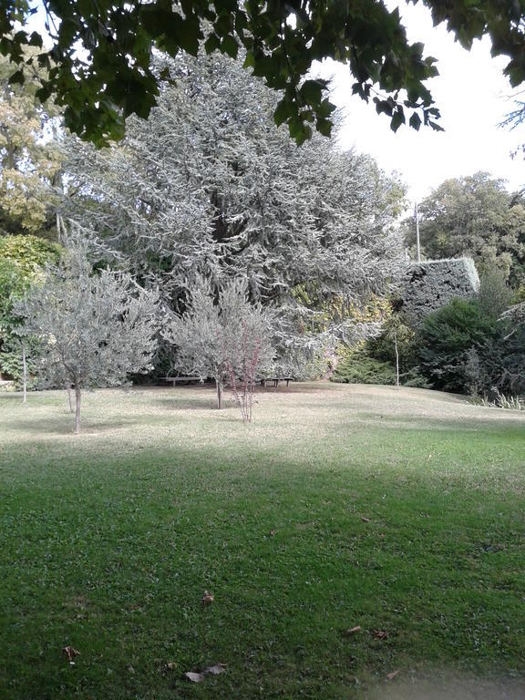 Le Chateau Des Estubiers Bed & Breakfast Sérignan-du-Comtat Dış mekan fotoğraf
