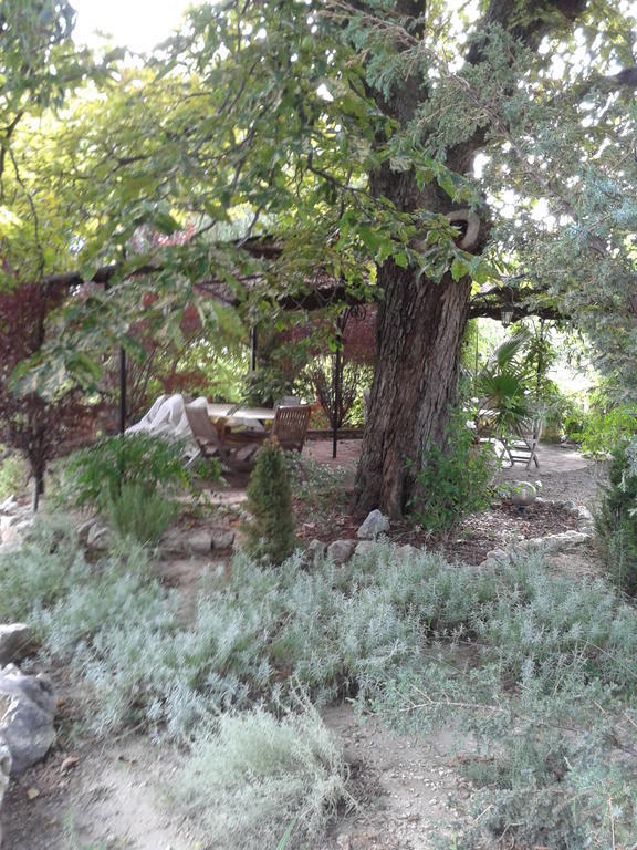 Le Chateau Des Estubiers Bed & Breakfast Sérignan-du-Comtat Dış mekan fotoğraf
